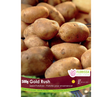 Potato 'GemStar Russet' organic (500 g)