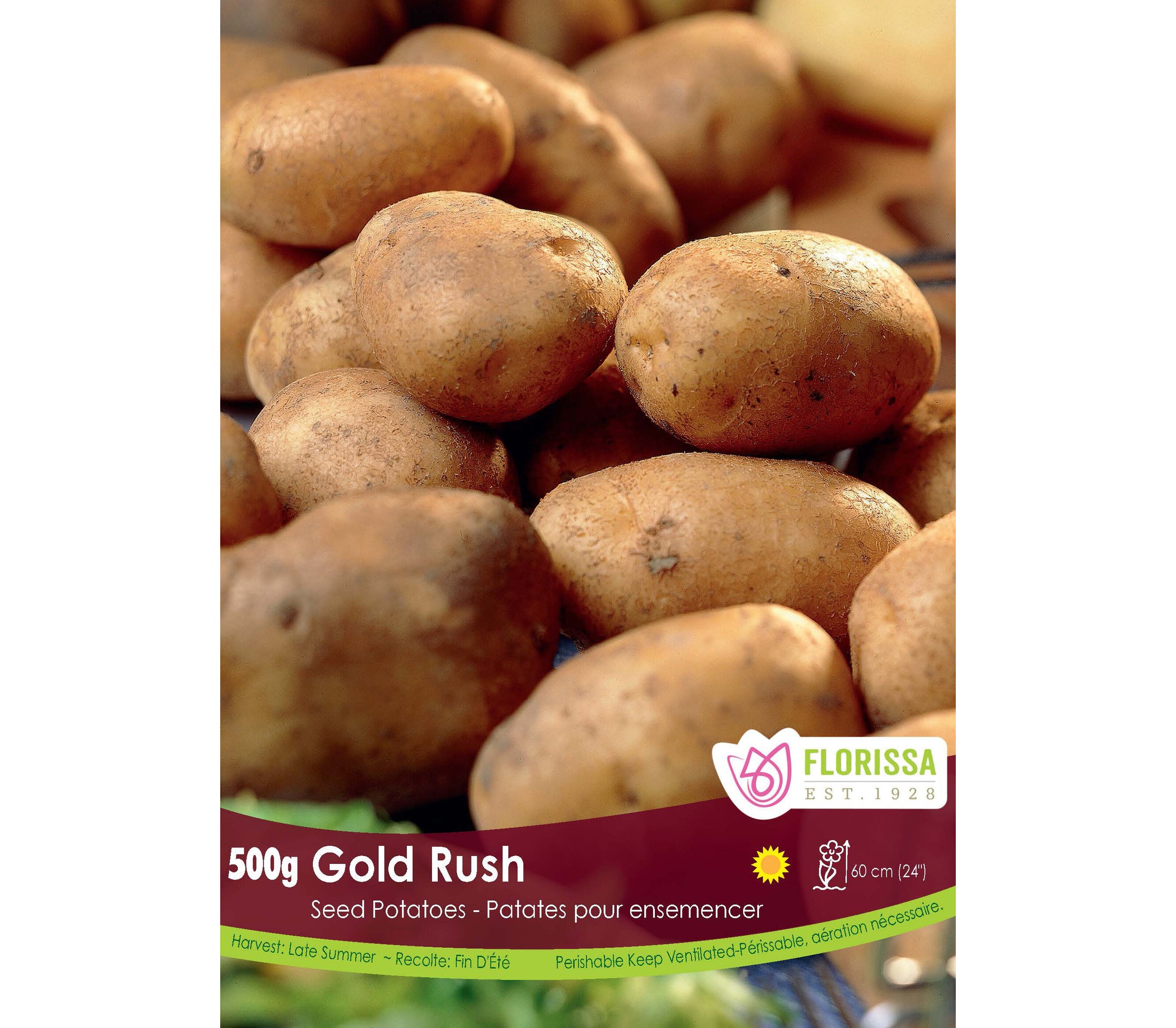 Potato 'GemStar Russet' organic (500 g)