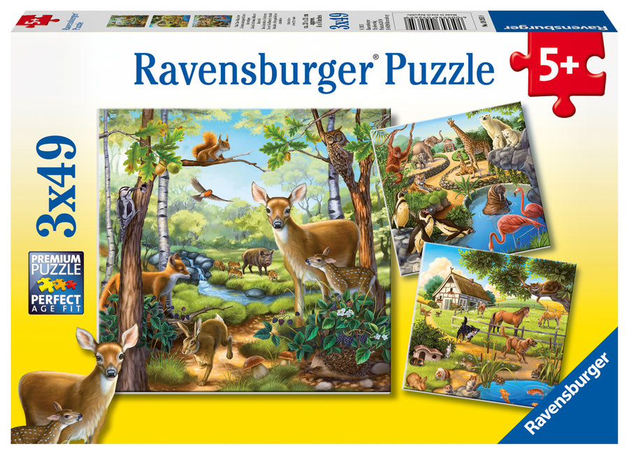 Coffret de casse-têtes 3 × 49 morceaux Forest/Zoo/Domestic Anim. – Ravensburger