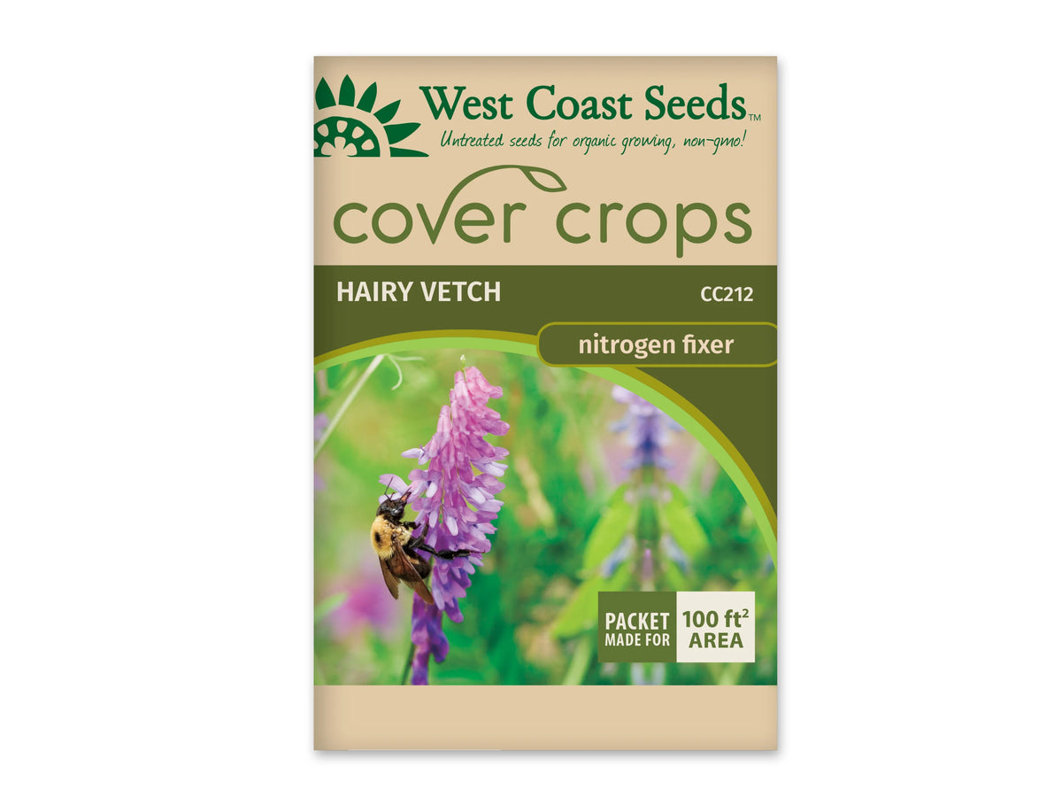 Sachet beige et vert West Coast Seeds de la gamme Cover Crops, portant le nom anglais Hairy Vetch et le code CC212. La photo centrale montre une grappe de fleurs violettes visitée par un bourdon jaune et noir. Un encadré vert et blanc dans le coin inférieur droit annonce une couverture de 100 pieds carrés. Le sachet est présenté sur fond blanc.