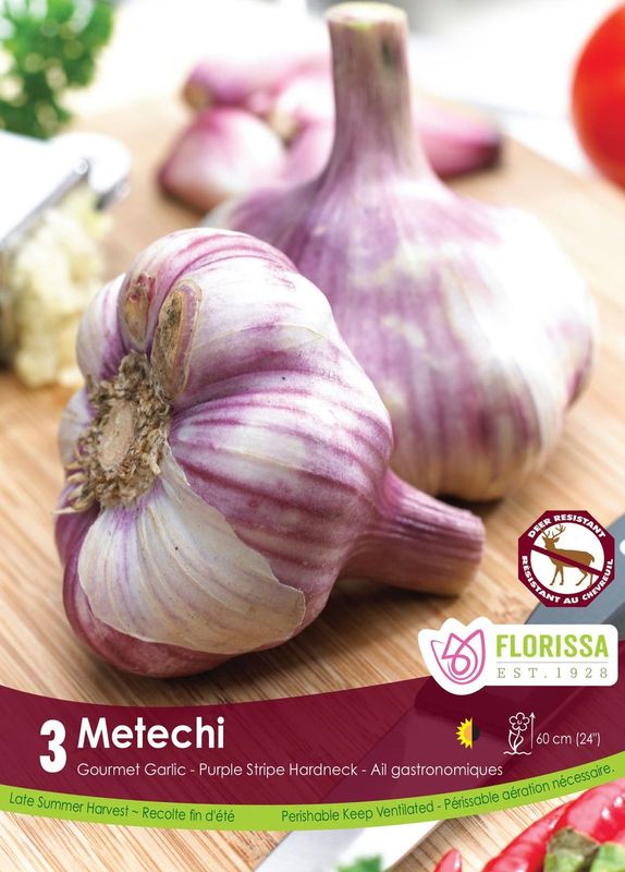 Ail Metechi (<em>Allium sativum var. ophioscorodon</em> ‘Metechi’)