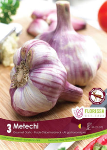 Ail Metechi (<em>Allium sativum var. ophioscorodon</em> ‘Metechi’)