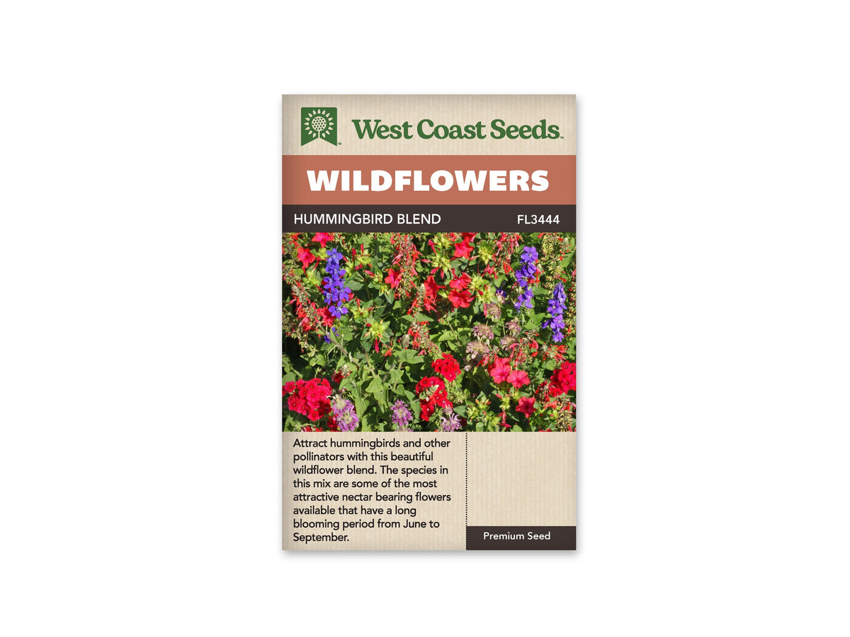 Sachet West Coast Seeds Hummingbird Blend illustré d’un massif de fleurs rouges et violettes. Des épis fins, des fleurs ouvertes et de petits bouquets arrondis se mêlent au feuillage vert. Quelques tons roses et mauves apparaissent entre les corolles vives. La photo montre une plantation dense et colorée, sans oiseau visible dans le cadre.