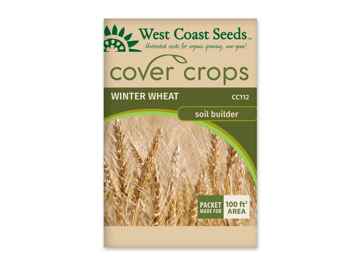 Sachet beige et vert West Coast Seeds de la gamme Cover Crops, portant le nom anglais Winter Wheat et le code CC112. La photo centrale montre des épis de blé dorés sur de hautes tiges, avec de fines arêtes visibles. Un encadré vert et blanc dans le coin inférieur droit annonce une couverture de 100 pieds carrés. Le sachet est présenté sur fond blanc.