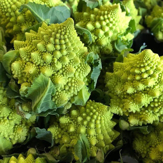 Semences Hortinova de Chou-fleur 'Romanesco', produit destiné au potager et présenté pour identifier clairement le cultivar avant le semis. Vue 1 de l'emballage ou du produit, à utiliser comme repère visuel avec les conseils de culture, l'exposition, l'arrosage et la récolte indiqués dans la fiche française de Pépinière.ca. Pour Chou-fleur 'Romanesco', des observations régulières permettent d'ajuster les soins aux conditions réelles du jardin.