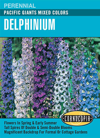 Visuel officiel de Cornucopia associé aux semences de Dauphinelle Pacific Giants, référence CS100. Les hautes hampes portent des fleurs bleues, pourpres, blanches et roses. Les plantes atteignent environ 1,2 à 1,8 m (4 à 6 pi). Les épis donnent une structure verticale aux massifs et aux arrangements floraux. Cette image accompagne la fiche de cette sélection et permet de repérer le produit correspondant dans le catalogue de semences.