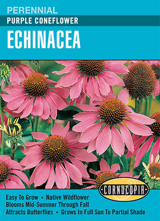 Visuel officiel de Cornucopia associé aux semences d’Échinacée pourpre, référence CS101. Cette référence propose l’échinacée pourpre pour les plantations ornementales. Les fleurs à cœur proéminent apportent une structure durable aux massifs estivaux. Cette image accompagne la fiche de cette sélection et permet de repérer le produit correspondant dans le catalogue de semences.
