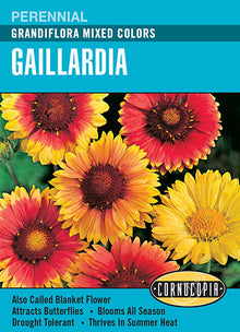 Visuel officiel de Cornucopia associé aux semences de Gaillarde Grandiflora, référence CS102. Ce mélange de gaillardes est destiné aux plantations fleuries. Les fleurs de différentes couleurs permettent de varier les massifs et les bordures. Cette image accompagne la fiche de cette sélection et permet de repérer le produit correspondant dans le catalogue de semences.