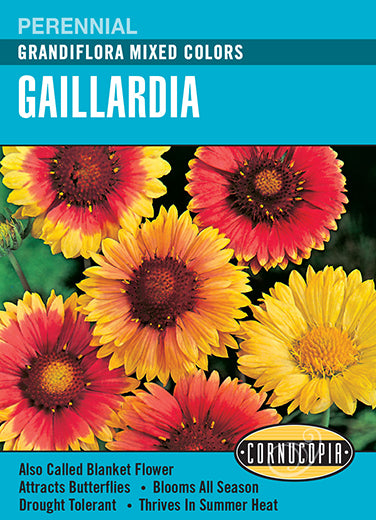 Visuel officiel de Cornucopia associé aux semences de Gaillarde Grandiflora, référence CS102. Ce mélange de gaillardes est destiné aux plantations fleuries. Les fleurs de différentes couleurs permettent de varier les massifs et les bordures. Cette image accompagne la fiche de cette sélection et permet de repérer le produit correspondant dans le catalogue de semences.