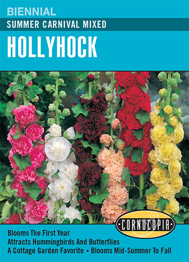 Visuel officiel de Cornucopia associé aux semences de Rose trémière Summer Carnival, référence CS104. Ce mélange propose des roses trémières de différentes couleurs sous le nom Summer Carnival. Les fleurs portées en hauteur donnent du relief aux plantations ornementales. Cette image accompagne la fiche de cette sélection et permet de repérer le produit correspondant dans le catalogue de semences.