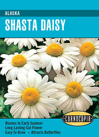 Visuel officiel de Cornucopia associé aux semences de Marguerite ‘Alaska’, référence CS106. Les fleurs blanches possèdent un centre jaune contrastant. Cette vivace atteint environ 60 cm (2 pi) et convient aux bouquets. Elle se cultive au soleil ou à la mi-ombre légère. Cette image accompagne la fiche de cette sélection et permet de repérer le produit correspondant dans le catalogue de semences.