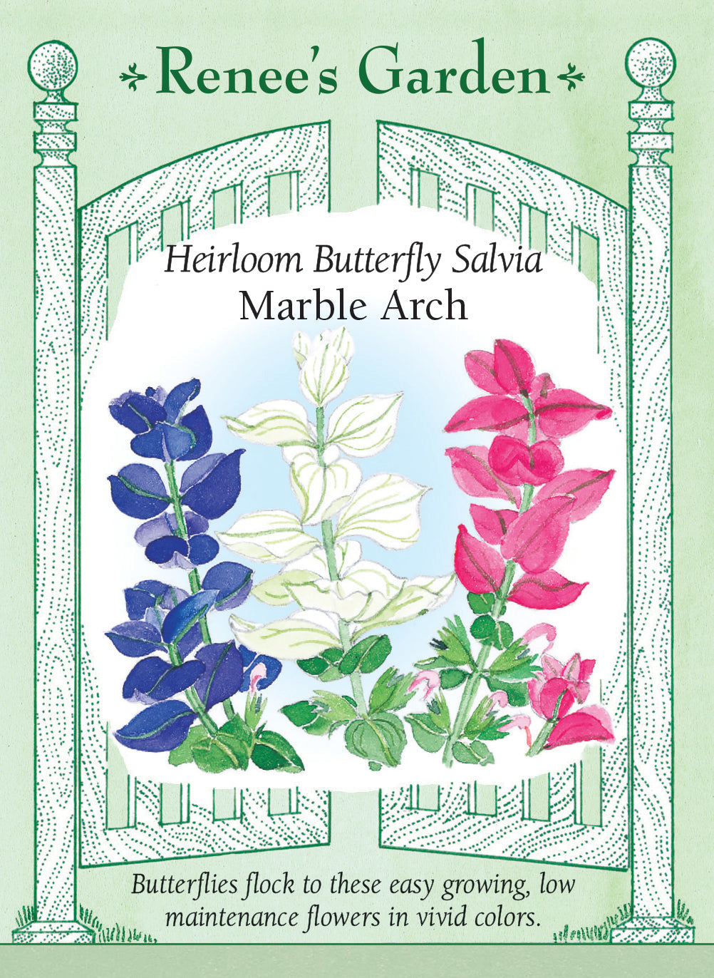 Visuel officiel de Renee's Garden associé aux semences de Sauges hormin en mélange Marble Arch, référence RN1068. Les bractées colorées affichent des tons bleu indigo, roses et blancs. Elles donnent leur attrait à ce mélange durant la belle saison. Les tiges peuvent être utilisées fraîches ou séchées, et les plantes conviennent aux massifs ainsi qu’aux contenants.