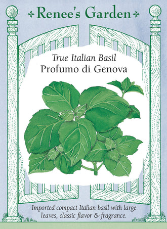 Visuel officiel de Renee's Garden pour les semences « Basilic ‘Profumo di Genova’ », référence RN1070. Cette sélection italienne forme des plants compacts, denses et feuillus. Le semencier décrit un parfum net de basilic et des feuilles aromatiques destinées à être récoltées régulièrement. Le port permet de cultiver quelques plants près de la cuisine. Les feuilles se prêtent aux usages habituels du basilic doux.