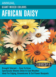 Visuel officiel de Cornucopia associé aux semences de Marguerite africaine Giant, référence CS108. Cette référence propose une fleur commercialisée sous le nom African Daisy Giant. Elle est destinée à la floraison décorative dans les plantations saisonnières. Cette image accompagne la fiche de cette sélection et permet de repérer le produit correspondant dans le catalogue de semences.