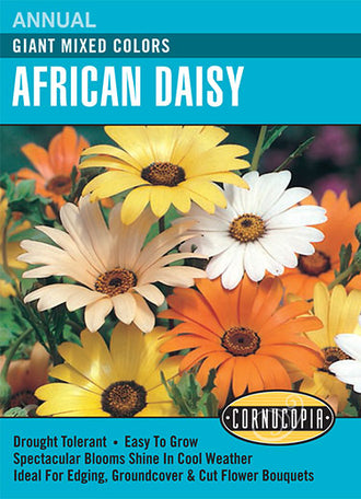 Visuel officiel de Cornucopia associé aux semences de Marguerite africaine Giant, référence CS108. Cette référence propose une fleur commercialisée sous le nom African Daisy Giant. Elle est destinée à la floraison décorative dans les plantations saisonnières. Cette image accompagne la fiche de cette sélection et permet de repérer le produit correspondant dans le catalogue de semences.