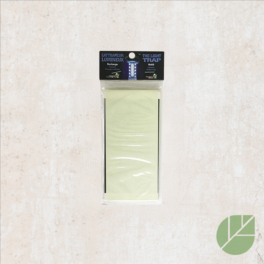 10 recharges collantes pour l'Attrapeur lumineux – Les Produits de Contrôle Supérieurs®