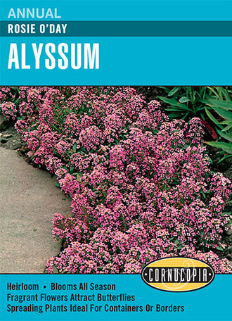 Visuel officiel de Cornucopia associé aux semences d’Alysse odorante ‘Rosie O’Day’, référence CS110. Les plantes basses atteignent environ 15 cm (6 po) et portent des groupes de petites fleurs rose soutenu. Les fleurs sont parfumées. Le port convient aux bordures, aux rocailles et aux abords des allées. Cette image accompagne la fiche de cette sélection et permet de repérer le produit correspondant dans le catalogue de semences.