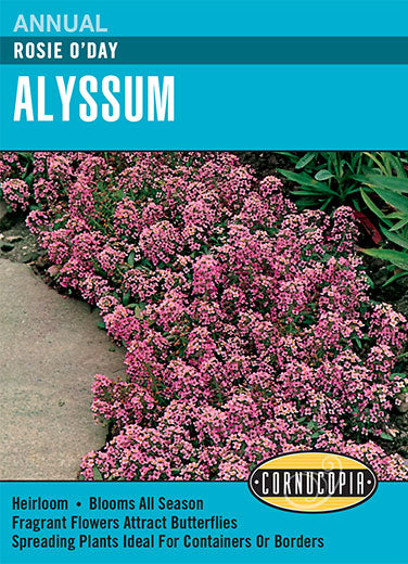 Visuel officiel de Cornucopia associé aux semences d’Alysse odorante ‘Rosie O’Day’, référence CS110. Les plantes basses atteignent environ 15 cm (6 po) et portent des groupes de petites fleurs rose soutenu. Les fleurs sont parfumées. Le port convient aux bordures, aux rocailles et aux abords des allées. Cette image accompagne la fiche de cette sélection et permet de repérer le produit correspondant dans le catalogue de semences.