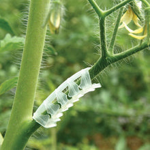 100 Plastic Arched Accordion Tomato Support - Clear