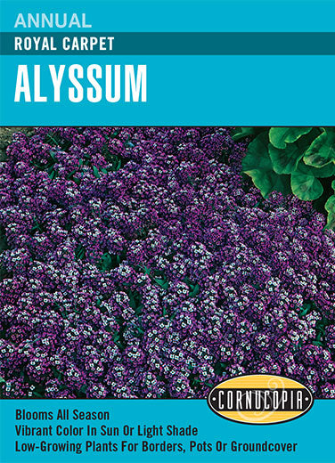 Visuel officiel de Cornucopia associé aux semences d’Alysse odorante ‘Royal Carpet’, référence CS111. Les plantes denses atteignent environ 8 à 13 cm (3 à 5 po) et forment un tapis fleuri parfumé. Elles conviennent aux bordures, aux rocailles et aux jardinières. Les fleurs attirent les papillons. Cette image accompagne la fiche de cette sélection et permet de repérer le produit correspondant dans le catalogue de semences.