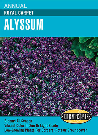 Visuel officiel de Cornucopia associé aux semences d’Alysse odorante ‘Royal Carpet’, référence CS111. Les plantes denses atteignent environ 8 à 13 cm (3 à 5 po) et forment un tapis fleuri parfumé. Elles conviennent aux bordures, aux rocailles et aux jardinières. Les fleurs attirent les papillons. Cette image accompagne la fiche de cette sélection et permet de repérer le produit correspondant dans le catalogue de semences.