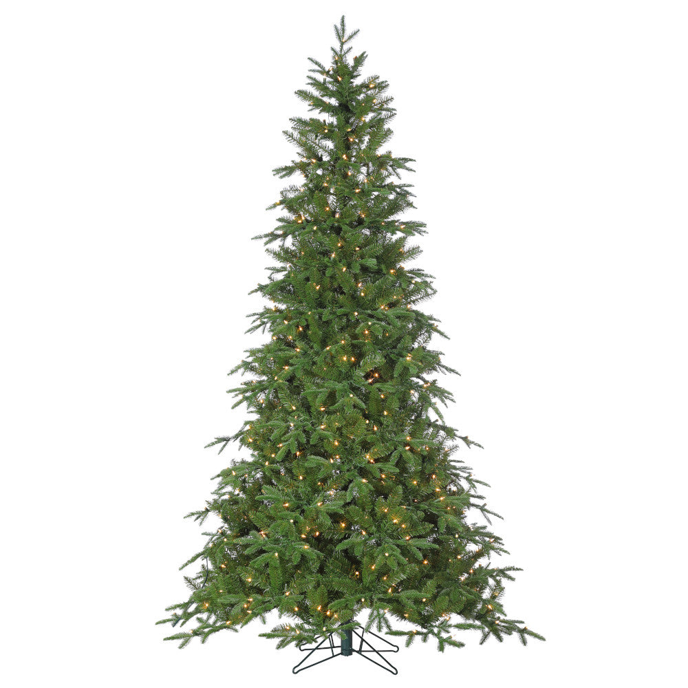 Sapin Rome