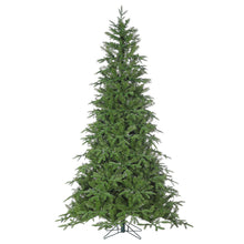 Sapin Rome
