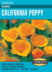 Visuel officiel de Cornucopia associé aux semences de Pavot de Californie orange, référence CS115. Les fleurs orange sont portées au-dessus d’un feuillage découpé. Les plantes atteignent environ 30 cm (12 po) et tolèrent les sols pauvres ainsi que les périodes sèches. Elles peuvent se ressemer au jardin. Cette image accompagne la fiche de cette sélection et permet de repérer le produit correspondant dans le catalogue de semences.
