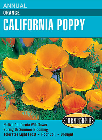 Visuel officiel de Cornucopia associé aux semences de Pavot de Californie orange, référence CS115. Les fleurs orange sont portées au-dessus d’un feuillage découpé. Les plantes atteignent environ 30 cm (12 po) et tolèrent les sols pauvres ainsi que les périodes sèches. Elles peuvent se ressemer au jardin. Cette image accompagne la fiche de cette sélection et permet de repérer le produit correspondant dans le catalogue de semences.