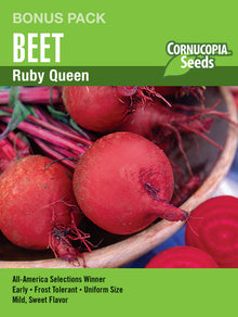 Visuel officiel de Cornucopia associé aux semences de Betterave ‘Ruby Queen’, référence CS1169. Cette référence en grand format propose la betterave Ruby Queen. Les semis peuvent être organisés en rangs, avec un éclaircissage laissant aux racines l’espace nécessaire. Cette image accompagne la fiche de cette sélection et permet de repérer le produit correspondant dans le catalogue de semences.