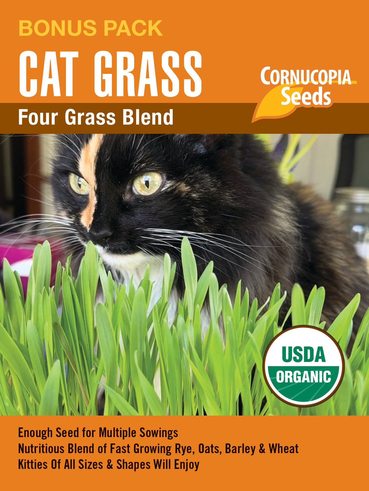 Visuel officiel de Cornucopia associé aux semences de Mélange d’herbe pour chats, référence CS1171. Ce mélange de semences est destiné à la production de jeunes feuilles d’herbe pour chats. Le grand format permet de renouveler les semis dans de petits contenants. Cette image accompagne la fiche de cette sélection et permet de repérer le produit correspondant dans le catalogue de semences.