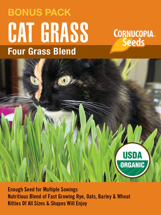Visuel officiel de Cornucopia associé aux semences de Mélange d’herbe pour chats, référence CS1171. Ce mélange de semences est destiné à la production de jeunes feuilles d’herbe pour chats. Le grand format permet de renouveler les semis dans de petits contenants. Cette image accompagne la fiche de cette sélection et permet de repérer le produit correspondant dans le catalogue de semences.