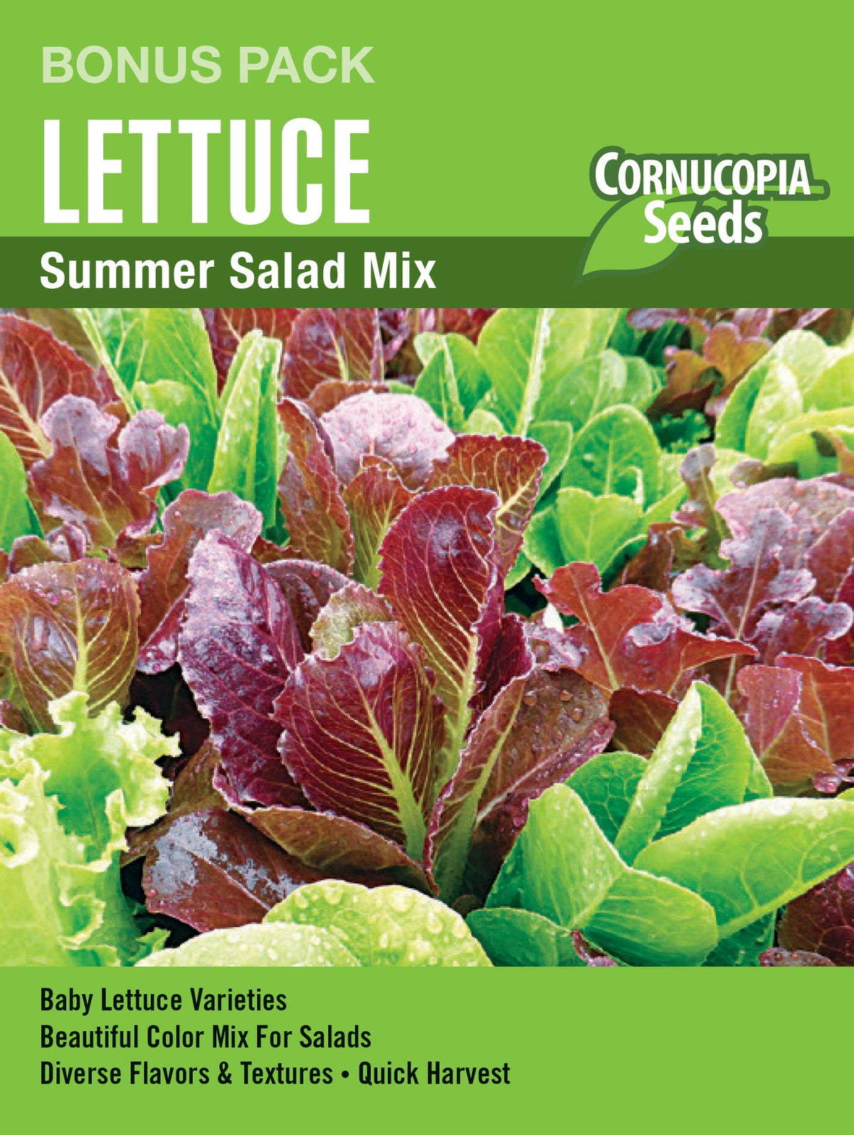 Visuel officiel de Cornucopia associé aux semences de Laitue Babyleaf Mix, référence CS1176. Ce mélange de laitues est destiné à la récolte de jeunes feuilles. Le grand format permet d’organiser des semis successifs pour renouveler les salades. Cette image accompagne la fiche de cette sélection et permet de repérer le produit correspondant dans le catalogue de semences.