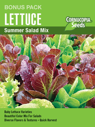 Visuel officiel de Cornucopia associé aux semences de Laitue Babyleaf Mix, référence CS1176. Ce mélange de laitues est destiné à la récolte de jeunes feuilles. Le grand format permet d’organiser des semis successifs pour renouveler les salades. Cette image accompagne la fiche de cette sélection et permet de repérer le produit correspondant dans le catalogue de semences.