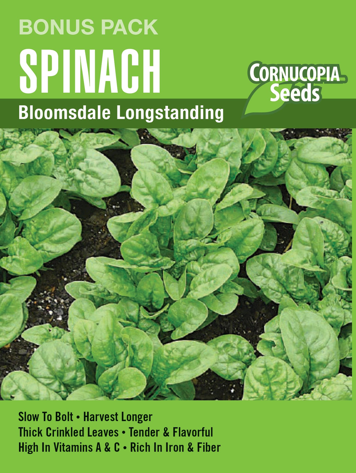 Visuel officiel de Cornucopia associé aux semences d’Épinard ‘Bloomsdale Longstanding’, référence CS1179. Cette référence en grand format propose l’épinard Bloomsdale Longstanding. Les semis peuvent être échelonnés pendant les périodes fraîches pour renouveler les récoltes de feuilles. Cette image accompagne la fiche de cette sélection et permet de repérer le produit correspondant dans le catalogue de semences.