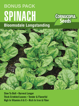 Visuel officiel de Cornucopia associé aux semences d’Épinard ‘Bloomsdale Longstanding’, référence CS1179. Cette référence en grand format propose l’épinard Bloomsdale Longstanding. Les semis peuvent être échelonnés pendant les périodes fraîches pour renouveler les récoltes de feuilles. Cette image accompagne la fiche de cette sélection et permet de repérer le produit correspondant dans le catalogue de semences.