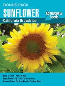 Visuel officiel de Cornucopia associé aux semences de Tournesol ‘Premier California Greystripe’, référence CS1180. Cette référence en grand format propose le tournesol Premier California Greystripe. Elle permet de préparer une plantation ensoleillée destinée à la floraison estivale. Cette image accompagne la fiche de cette sélection et permet de repérer le produit correspondant dans le catalogue de semences.