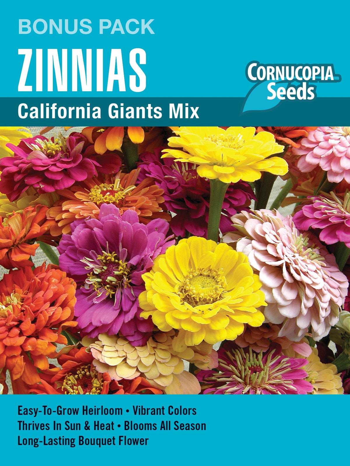 Visuel officiel de Cornucopia associé aux semences de Zinnia California Giants, référence CS1181. Cette référence en grand format propose des zinnias California Giants de différentes couleurs. Les fleurs sont destinées aux massifs estivaux et aux bouquets. Cette image accompagne la fiche de cette sélection et permet de repérer le produit correspondant dans le catalogue de semences.
