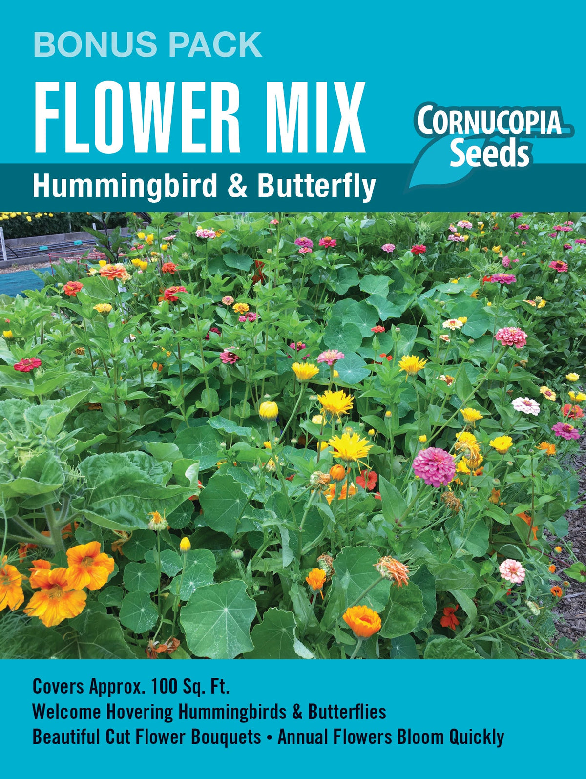 Visuel officiel de Cornucopia associé aux semences de Mélange de fleurs Hummingbird & Butterfly Mix, référence CS1186. Ce mélange comprend notamment des tournesols, des capucines, des zinnias, des soucis, des nigelles et des alysses. Les fleurs fournissent du pollen et du nectar aux visiteurs du jardin. Les plantes atteignent environ 30 à 90 cm (1 à 3 pi).