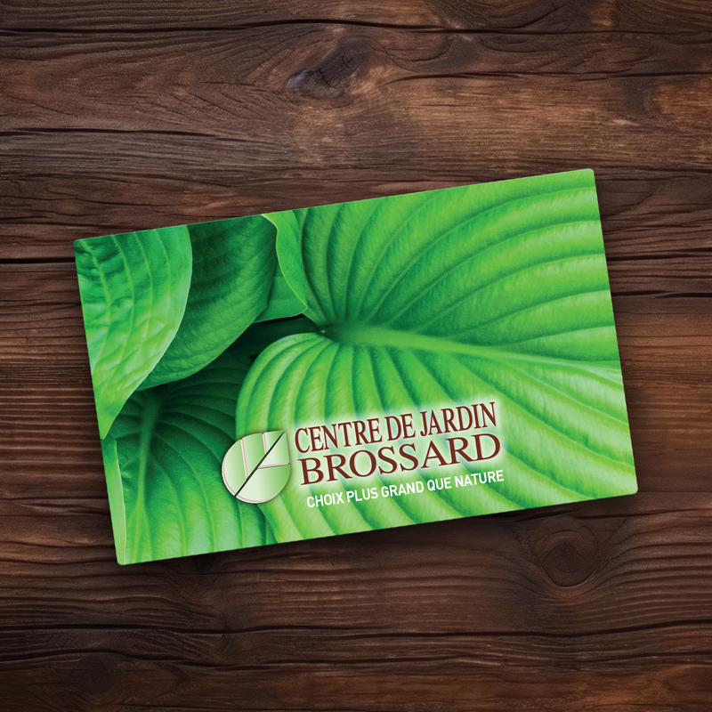 Carte-cadeau Brossard