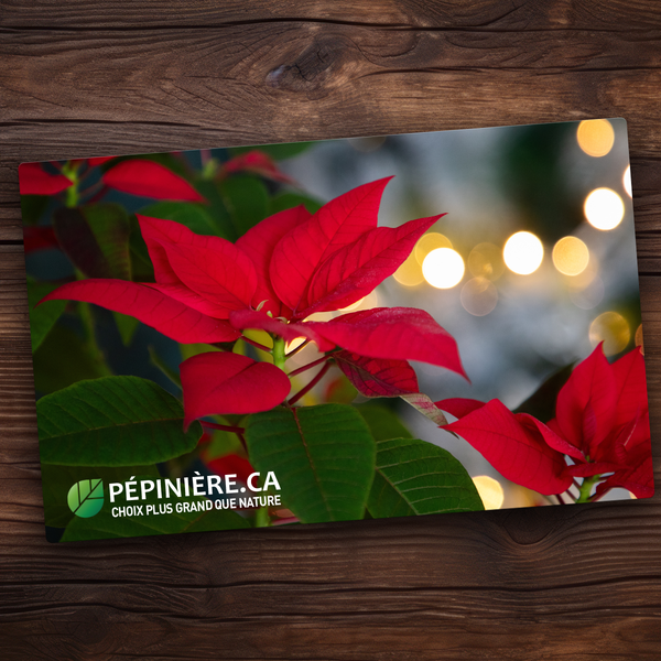 Gift Card Pépinière.ca