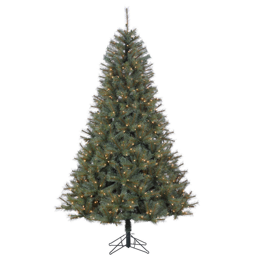Sapin Saint-Laurent