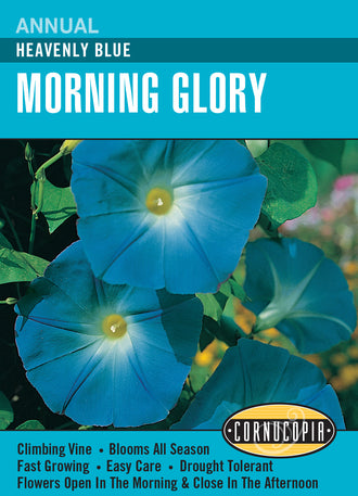 Visuel officiel de Cornucopia associé aux semences d’Ipomée ‘Heavenly Blue’, référence CS123. Cette référence propose l’ipomée Heavenly Blue. La plante se cultive pendant la saison chaude et demande un support pour guider ses tiges grimpantes. Cette image accompagne la fiche de cette sélection et permet de repérer le produit correspondant dans le catalogue de semences.