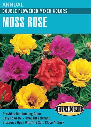 Visuel officiel de Cornucopia associé aux semences de Pourpier à grandes fleurs doubles en mélange, référence CS125. Ce mélange propose des pourpiers à fleurs doubles de différentes couleurs. Il est destiné aux compositions florales saisonnières et aux contenants bien drainés. Cette image accompagne la fiche de cette sélection et permet de repérer le produit correspondant dans le catalogue de semences.