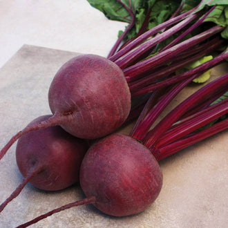 Des betteraves rondes rouge pourpre reposent sur une surface beige gris. Leurs fines racines s’étendent vers le bas gauche, tandis que les pétioles rose foncé se dirigent vers le haut droit. Des feuilles vertes restent visibles près du bord supérieur. Les légumes se chevauchent légèrement et portent de petites marques plus foncées sur leurs surfaces éclairées.