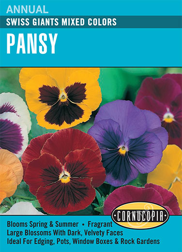 Visuel officiel de Cornucopia associé aux semences de Pensée Swiss Giants, référence CS128. Ce mélange propose des pensées de différentes couleurs sous le nom Swiss Giants. Les fleurs permettent de composer des bordures et des contenants décoratifs. Cette image accompagne la fiche de cette sélection et permet de repérer le produit correspondant dans le catalogue de semences.