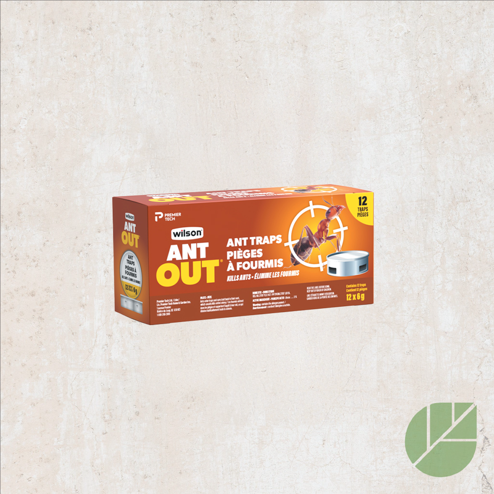 12 Wilson AntOut® Ant Traps