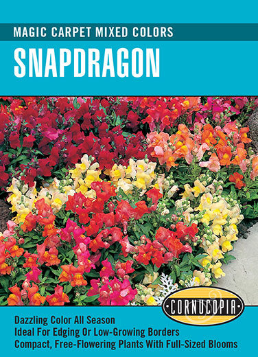 Visuel officiel de Cornucopia associé aux semences de Muflier Magic Carpet, référence CS130. Ce mélange propose des mufliers de différentes couleurs sous le nom Magic Carpet. Il permet de varier les fleurs dans les plantations saisonnières. Cette image accompagne la fiche de cette sélection et permet de repérer le produit correspondant dans le catalogue de semences.