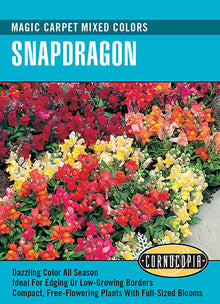 Visuel officiel de Cornucopia associé aux semences de Muflier Magic Carpet, référence CS130. Ce mélange propose des mufliers de différentes couleurs sous le nom Magic Carpet. Il permet de varier les fleurs dans les plantations saisonnières. Cette image accompagne la fiche de cette sélection et permet de repérer le produit correspondant dans le catalogue de semences.