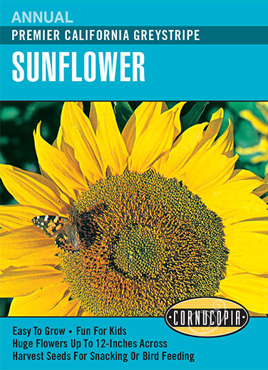 Visuel officiel de Cornucopia associé aux semences de Tournesol ‘California Greystripe’, référence CS134. Cette référence propose la variété de tournesol California Greystripe. Elle se cultive dans un emplacement ensoleillé pour sa floraison estivale. Cette image accompagne la fiche de cette sélection et permet de repérer le produit correspondant dans le catalogue de semences.